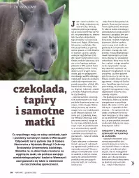 Gazetka promocyjna Drogerie Natura - Gazetka Drogerie Natura - Gazetka - ważna od 02.01 do 02.01.2023 - strona 26 - produkty: Sok, Por, Mus, JBL, Gin, Gry, Gra, Jaja, Kosz, Sport, Czekolada, Monitor, Kakao, Karmi, Olej, Mięso, Mleko, LG, Fa