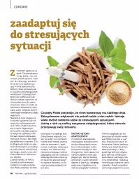 Gazetka promocyjna Drogerie Natura - Gazetka Drogerie Natura - Gazetka - ważna od 02.01 do 02.01.2023 - strona 58 - produkty: Ser, Por, Zdrowie, Sport, Wagi, Mobil, Fa
