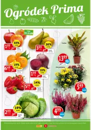 Gazetka promocyjna Prim Market - Gazetka - Gazetka - ważna od 15.09 do 15.09.2021 - strona 3 - produkty: Papryka czerwona, Papryka, Pomarańcze, Gruszki, Buraki, Jabłka