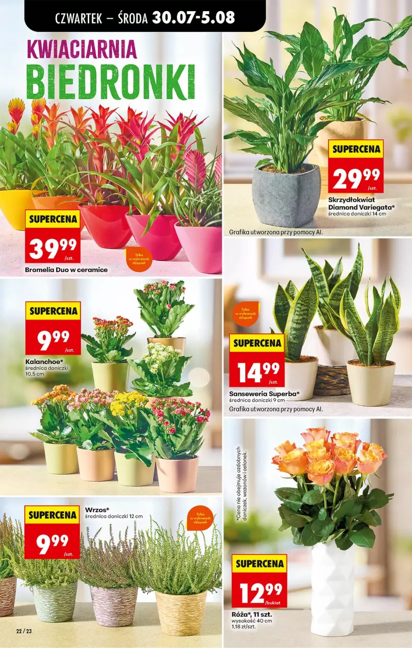 Gazetka promocyjna Biedronka - Od Czwartku - ważna 30.07 do 01.08.2026 - strona 28 - produkty: Gra, Grafika, Kalanchoe, Róża, Sok, Wazon