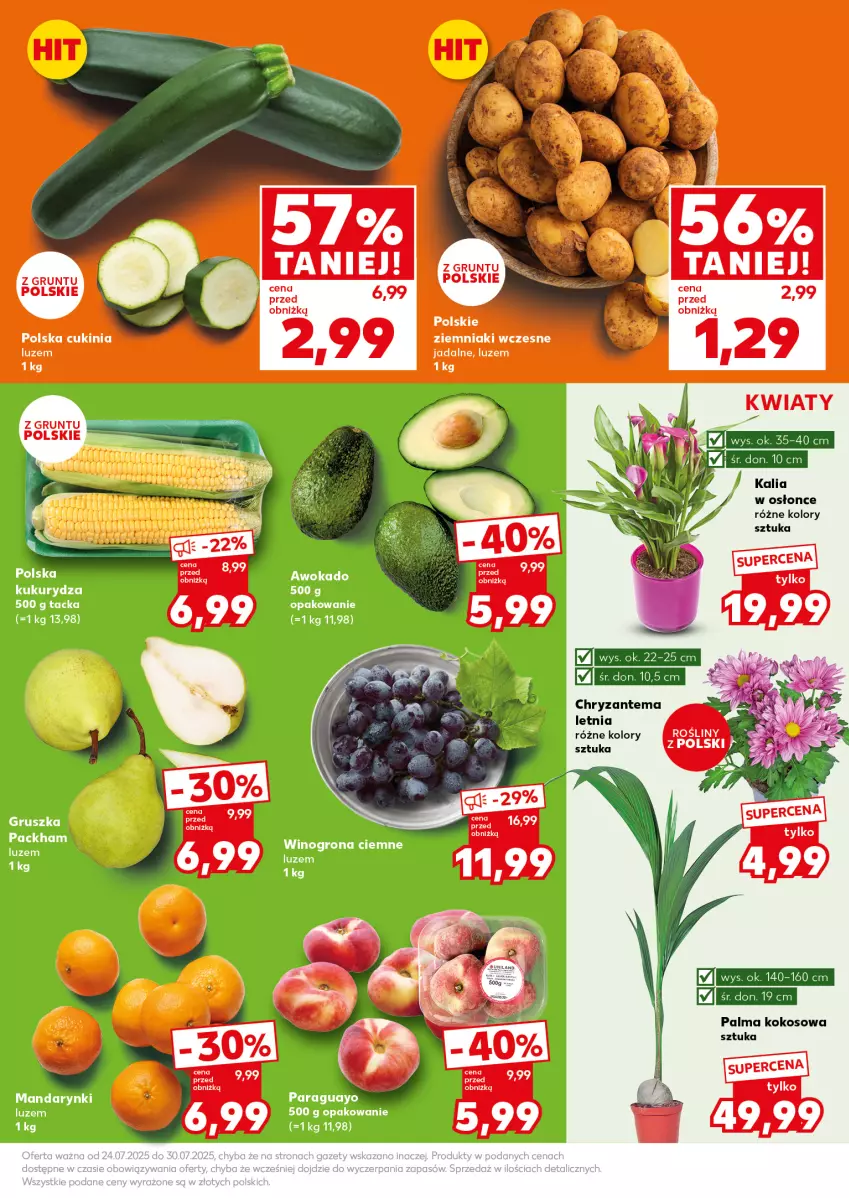 Gazetka promocyjna Kaufland - Mocny Start - ważna 28.07 do 30.07.2025 - strona 11 - produkty: Chryzantema, Fa, Grunt, Kokos, Kukurydza, Palma, Ziemniaki