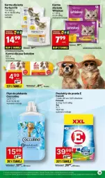 Gazetka promocyjna Delikatesy Centrum - Gazetka - ważna od 02.06 do 02.06.2024 - strona 11 - produkty: Sok, Sokołów, Whiskas, Płyn do płukania