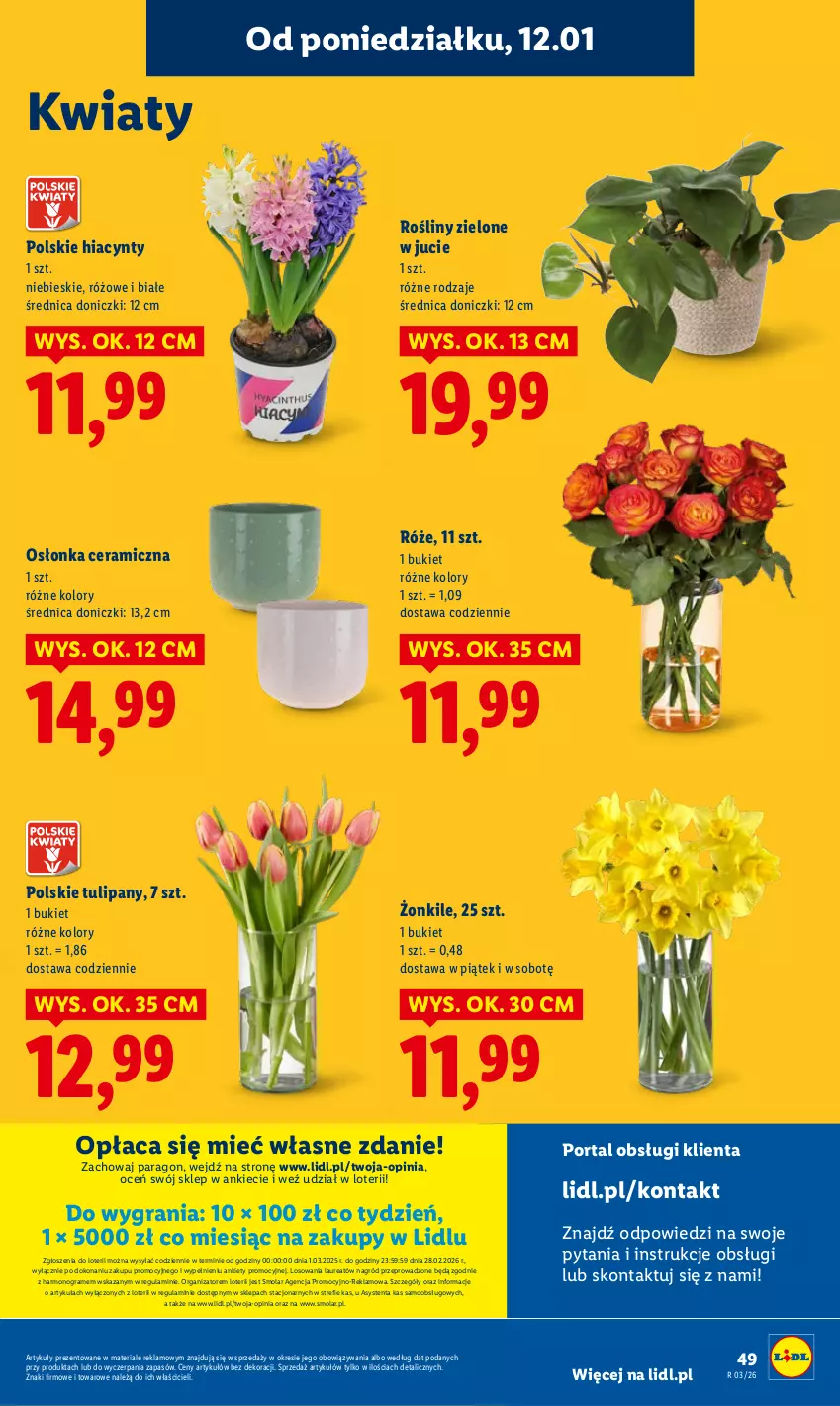 Gazetka promocyjna Lidl - GAZETKA - ważna 12.01 do 14.01.2026 - strona 49 - produkty: Bukiet, Gra, Hiacynt, Laur, Mola, Osłonka, Por, Portal, Tulipan