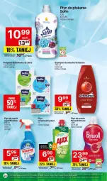 Gazetka promocyjna Delikatesy Centrum - Dyskontowe ceny w Delikatesach Centrum - Gazetka - ważna od 10.01 do 10.01.2024 - strona 24 - produkty: Płyn do prania, Rum, Gra, Ajax, Bell, Granat, Perfecta, Płyn do płukania, Schauma, Szampon, Podpaski, Perwoll, Bella, Płyn do mycia, Fa