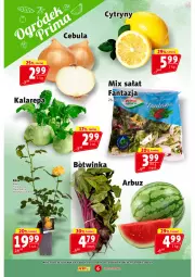 Gazetka promocyjna Prim Market - Gazetka - ważna od 22.05 do 22.05.2024 - strona 6 - produkty: Inka, Róża