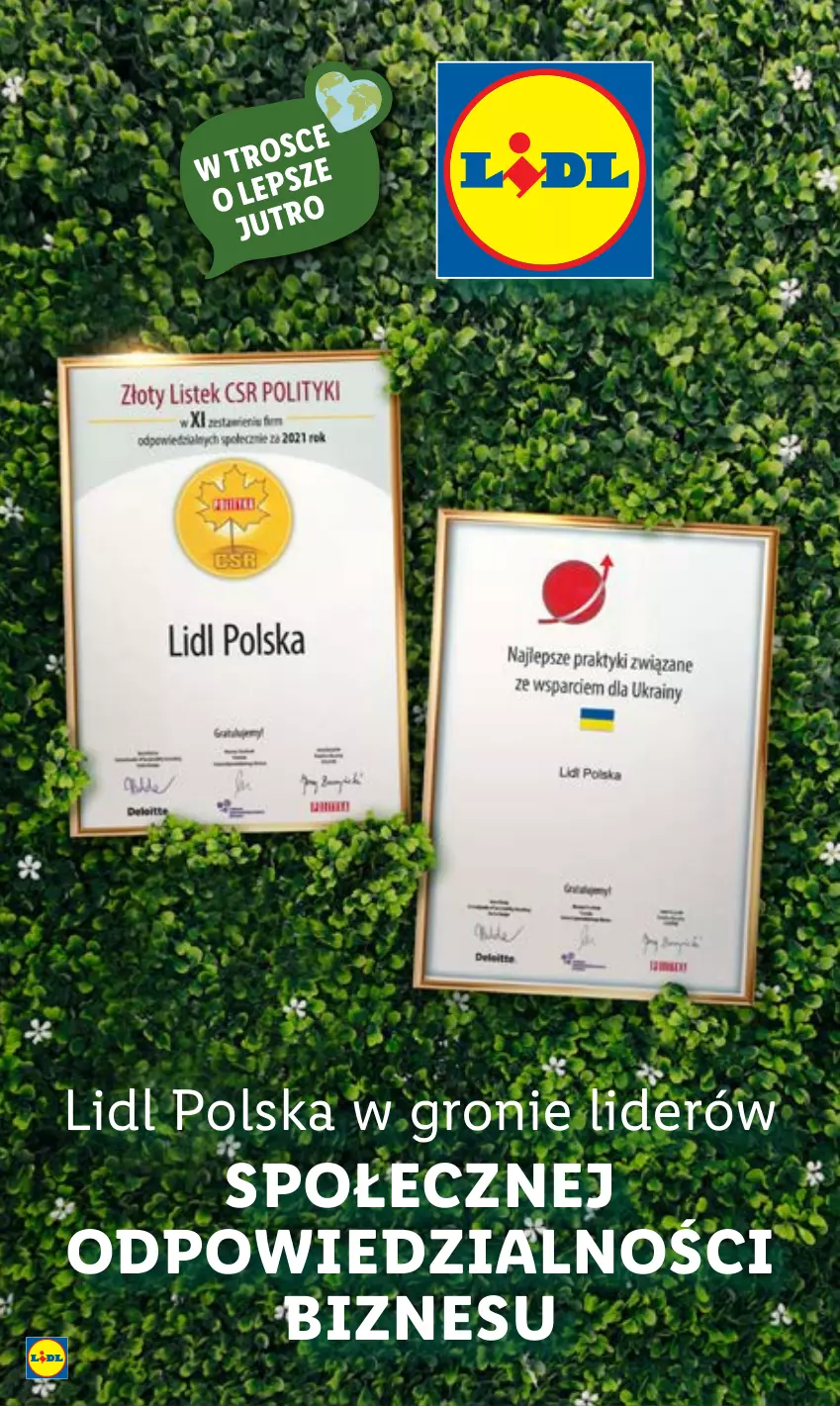 Gazetka promocyjna Lidl - GAZETKA - ważna 09.01 do 14.01.2023 - strona 49