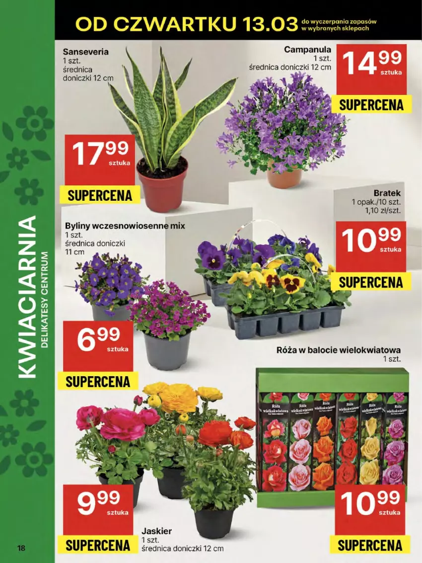 Gazetka promocyjna Delikatesy Centrum - NOWA GAZETKA Delikatesy Centrum od 13 marca! 13-19.03.2025 - ważna 13.03 do 19.03.2025 - strona 18 - produkty: Campanula, Róża