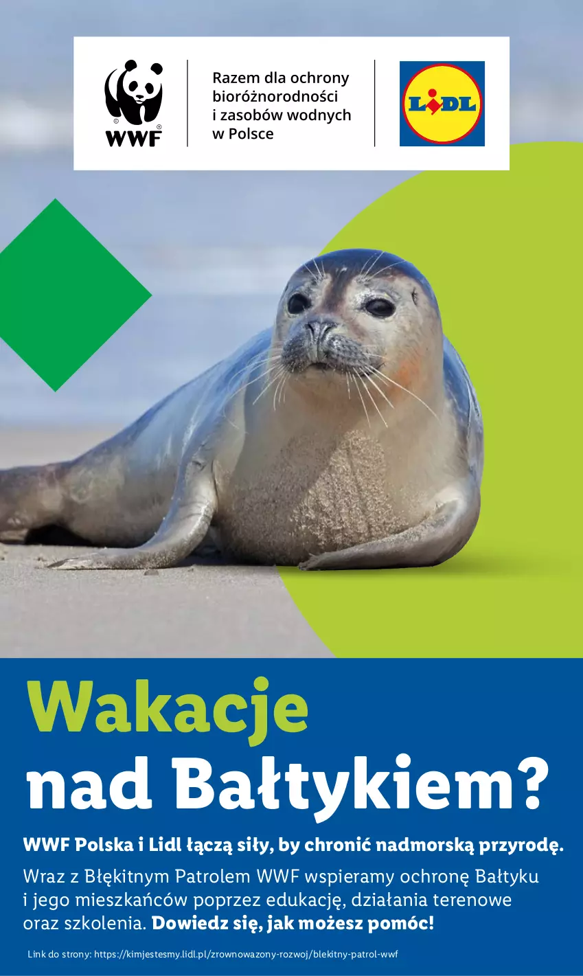 Gazetka promocyjna Lidl - GAZETKA - ważna 30.06 do 02.07.2025 - strona 57 - produkty: Wazon