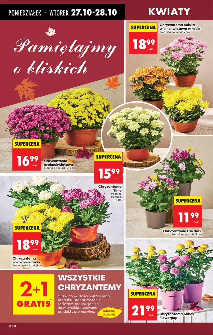 Gazetka promocyjna Biedronka - Od Poniedziałku - ważna 27.10 do 01.11.2025 - strona 18 - produkty: Chryzantema, Fa, Pur