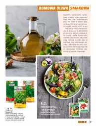 Gazetka promocyjna Obi - Gazetka OBI - Gazetka - ważna od 30.09 do 30.09.2023 - strona 67 - produkty: Makaron, Sałat, Bazyl, Bazylia, Nawóz, Olej, Mięta, LG, Oliwa