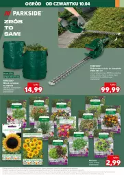 Gazetka promocyjna Kaufland - Kaufland - Gazetka - ważna od 15.04 do 15.04.2025 - strona 13 - produkty: Parkside, Noż, Papryka, Nożyce, Sałat, Bazyl, Bazylia, Ogród