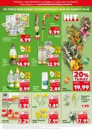 Gazetka promocyjna Kaufland - Kaufland - Gazetka - ważna od 15.04 do 15.04.2025 - strona 27 - produkty: Sok, Ser, Serwetki, Solniczka, Bukiet