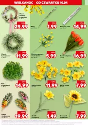 Gazetka promocyjna Kaufland - Kaufland - Gazetka - ważna od 15.04 do 15.04.2025 - strona 37 - produkty: Tulipan, Palma, Bukiet