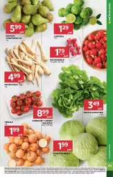 Gazetka promocyjna Stokrotka - Supermarket - Gazetka - ważna od 11.02 do 11.02.2026 - strona 13 - produkty: Warzywa, Sałata masłowa, Sałat, Optima, Gruszki, Limonka, Owoce, Masło, Pomidory, Rzodkiewka, Mięso