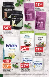 Gazetka promocyjna Stokrotka - Supermarket - Gazetka - ważna od 11.02 do 11.02.2026 - strona 28 - produkty: Warzywa, Mus, Koc, Chia, Optima, Czekolada, Odżywka