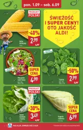 Gazetka promocyjna Aldi - Pełna oferta - Gazetka - ważna od 06.09 do 06.09.2025 - strona 4 - produkty: Sałata masłowa, Sałat, Mieszanka sałat, Masło, Szpinak