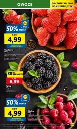 Gazetka promocyjna Lidl - GAZETKA - Gazetka - ważna od 27.04 do 27.04.2025 - strona 15 - produkty: Truskawki, Jeżyny, Maliny, Owoce