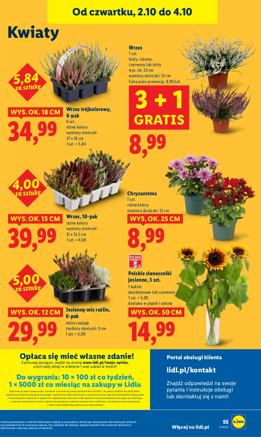 Gazetka promocyjna Lidl - GAZETKA - ważna 02.10 do 04.10.2025 - strona 59 - produkty: Bukiet, Chryzantema, Gra, Laur, Mola, Por, Portal