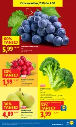 Gazetka promocyjna Lidl - GAZETKA - Gazetka - ważna od 04.10 do 04.10.2025 - strona 21 - produkty: Gruszki, Winogrona, Brokuły, Wino