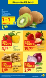 Gazetka promocyjna Lidl - GAZETKA - Gazetka - ważna od 04.10 do 04.10.2025 - strona 23 - produkty: Cebula czerwona, Cebula, Gra, Papryka, Truskawki, Kiwi, Imbir
