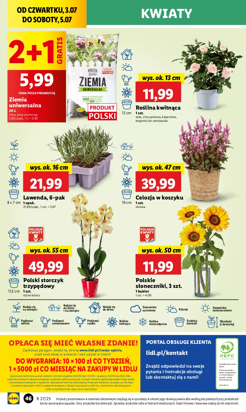 Gazetka promocyjna Lidl - GAZETKA - ważna 03.07 do 05.07.2025 - strona 60 - produkty: Bukiet, Chryzantema, Cień, Gra, Kalanchoe, Kosz, Laur, Mola, O nas, Por, Portal, Sok, Storczyk