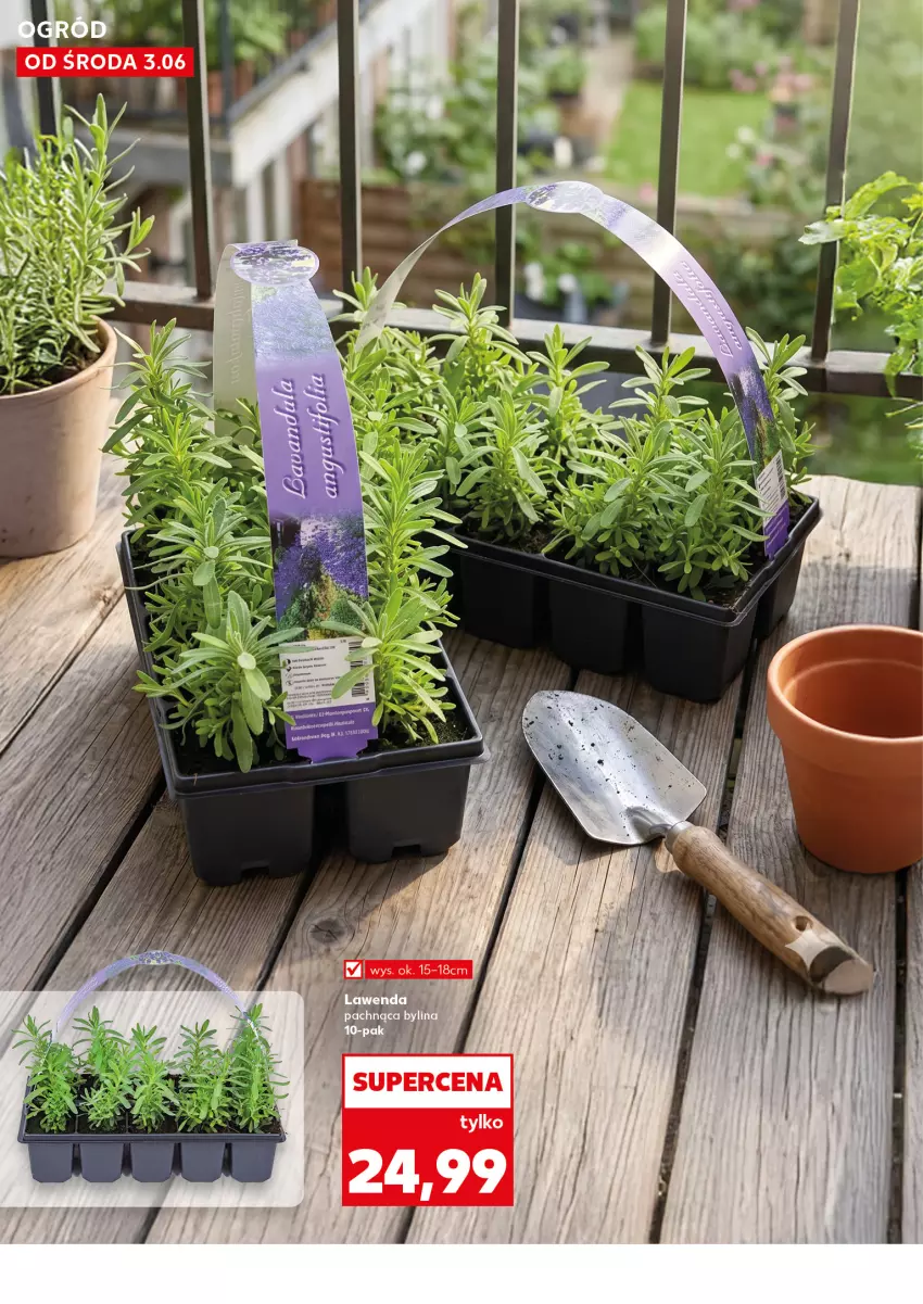 Gazetka promocyjna Kaufland - Kaufland - ważna 03.06 do 10.06.2026 - strona 10