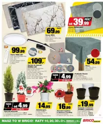 Gazetka promocyjna Bricomarche - Gazetka - ważna od 07.12 do 07.12.2024 - strona 7 - produkty: Plafon, Rum, Gra, Cyprysik, Szlumbergera, Cynk, Tera, Obrus, Mamba, Dywan, Podkład