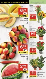 Gazetka promocyjna Delikatesy Centrum - NOWA GAZETKA Delikatesy Centrum od 18 lipca! 18-24.07.2024 - Gazetka - ważna od 24.07 do 24.07.2024 - strona 14 - produkty: Róża, Brzoskwinie, Bukiet, Gala, Melon, Nektar