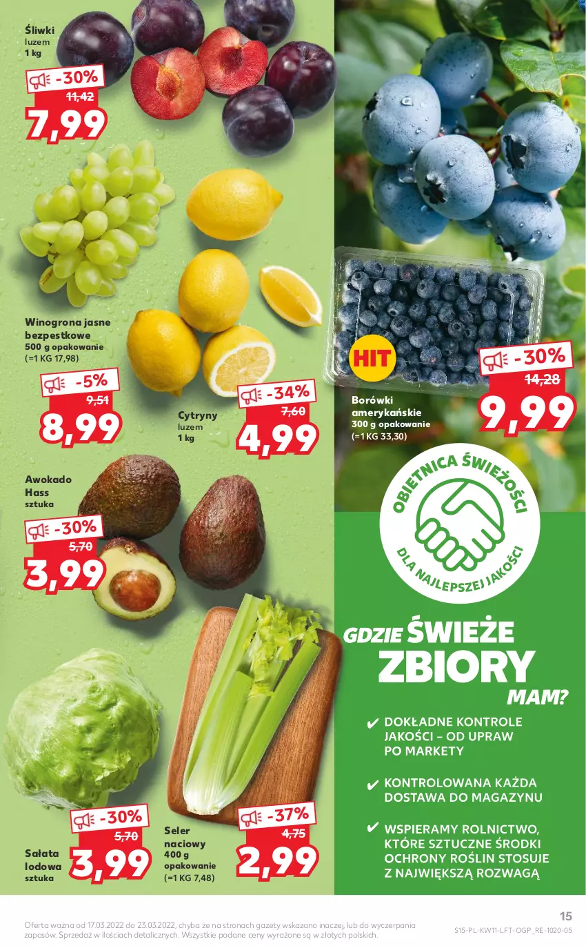 Gazetka promocyjna Kaufland - OFERTA TYGODNIA - ważna 17.03 do 23.03.2022 - strona 15 - produkty: Cytryny, Sałat, Sałata lodowa, Seler naciowy, Wino, Winogrona