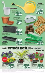 Gazetka promocyjna Kaufland - OFERTA TYGODNIA - Gazetka - ważna od 23.03 do 23.03.2022 - strona 47 - produkty: Gra, Konewka, Róża, Dzwonek, Cień