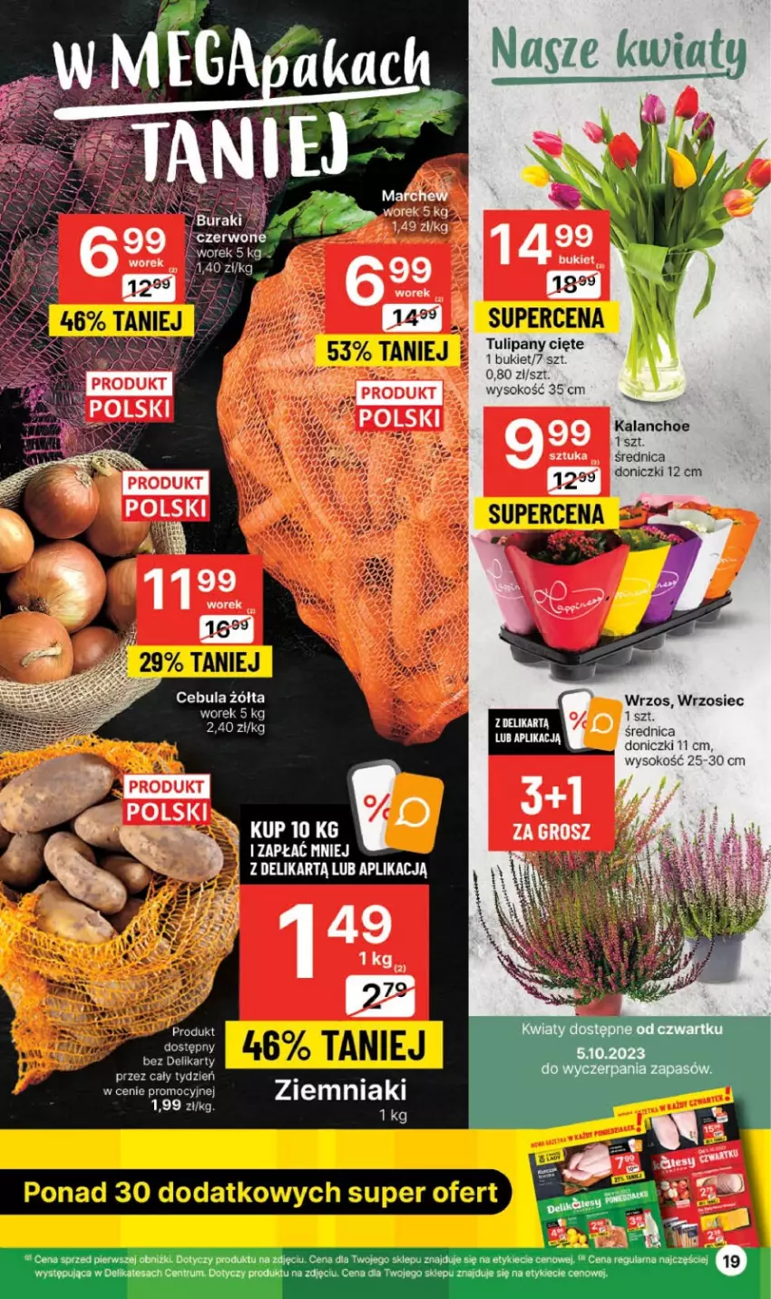 Gazetka promocyjna Delikatesy Centrum - Gazetka DC39 czw-sr - ważna 05.10 do 11.10.2023 - strona 19 - produkty: Bukiet, Cebula, Kalanchoe, Rum, Sok, Tulipan, Ziemniaki