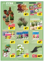Gazetka promocyjna Carrefour - Gazetka Carrefour - Gazetka - ważna od 10.09 do 10.09.2022 - strona 35 - produkty: Kaktus, Osłonka