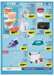 Gazetka promocyjna Carrefour - Gazetka Carrefour - Gazetka - ważna od 10.09 do 10.09.2022 - strona 41 - produkty: Piec, Grzejnik, Odkurzacz, Sok, Maszynka do mielenia, Czajnik, Taca, Szynka, Tefal, Kuchenka mikrofalowa, Termowentylator, Szatkownica, Maszynka, Suszarka, Amica, Fa