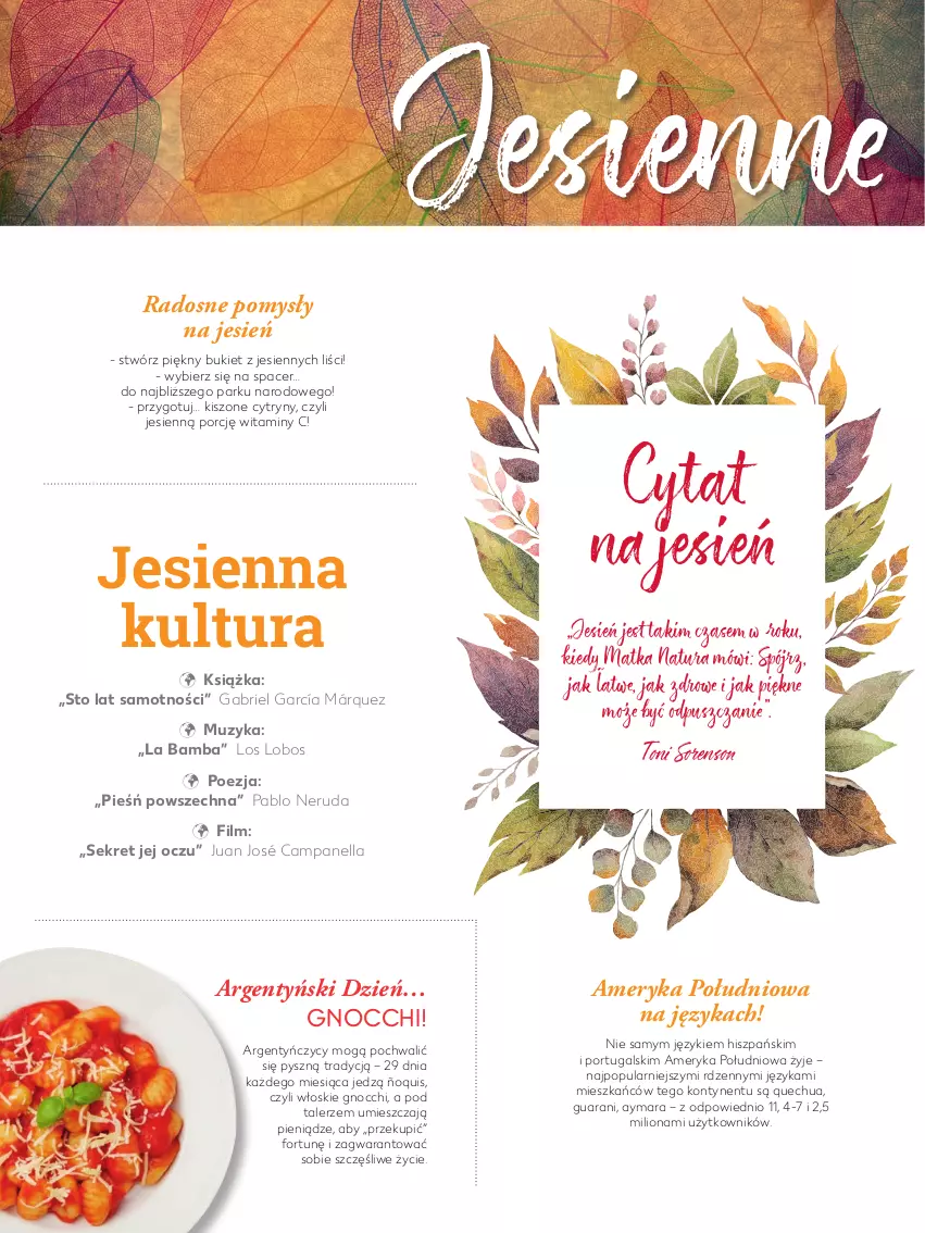 Gazetka promocyjna Kaufland - Magazyn 