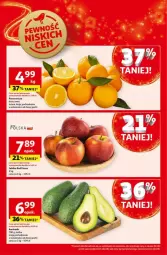 Gazetka promocyjna Auchan - Gazetka - ważna od 24.12 do 24.12.2024 - strona 63 - produkty: Siatka, Jabłka