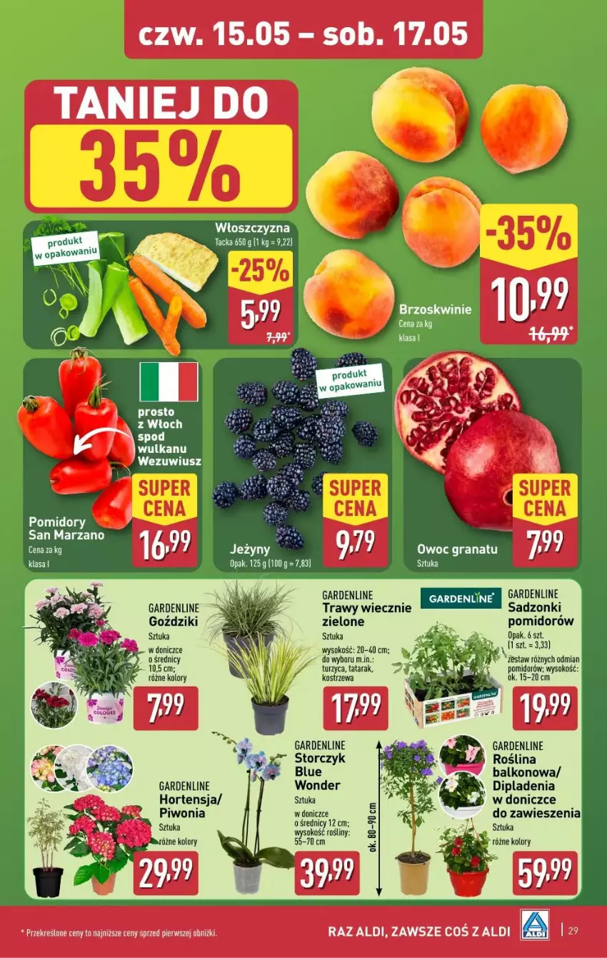 Gazetka promocyjna Aldi - ważna 12.05 do 17.05.2025 - strona 22 - produkty: Jeżyny, Piwo, Sok, Storczyk