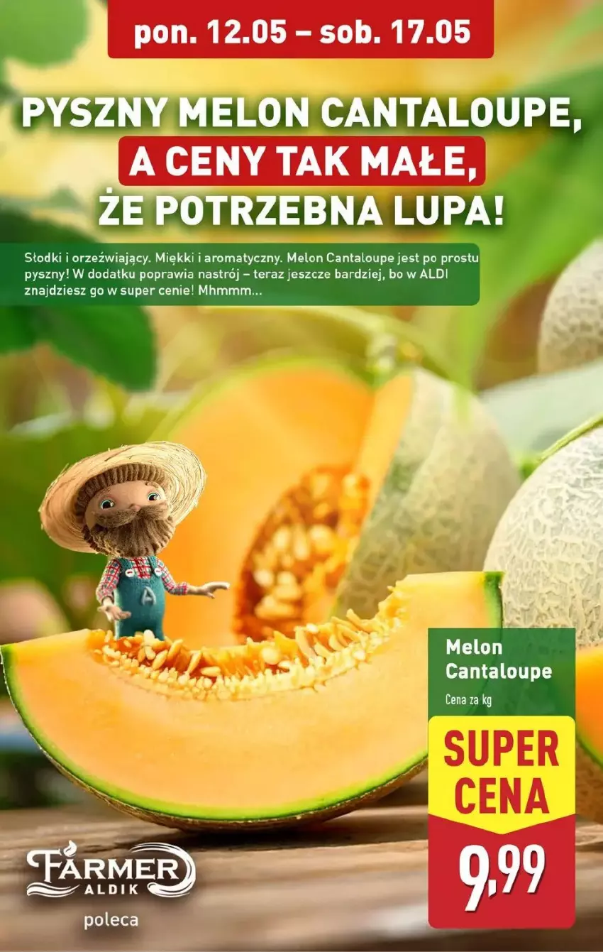 Gazetka promocyjna Aldi - ważna 12.05 do 17.05.2025 - strona 34 - produkty: Melon, Tera