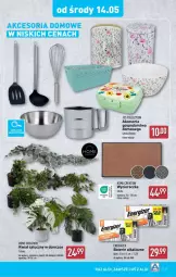 Gazetka promocyjna Aldi - Gazetka - ważna od 17.05 do 17.05.2025 - strona 18 - produkty: Wycieraczka, Tera, Lampion