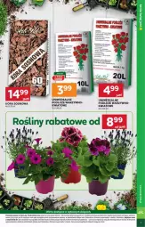 Gazetka promocyjna Stokrotka - Market - Gazetka - ważna od 07.05 do 07.05.2025 - strona 23 - produkty: Sos, Por, Amol, Owoce, Waga, Mięso