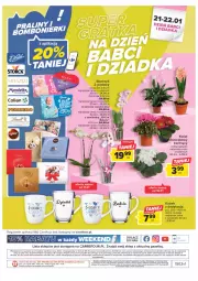 Gazetka promocyjna Carrefour - Gazetka Market - Gazetka - ważna od 21.01 do 21.01.2023 - strona 20 - produkty: Storczyk, Kubek