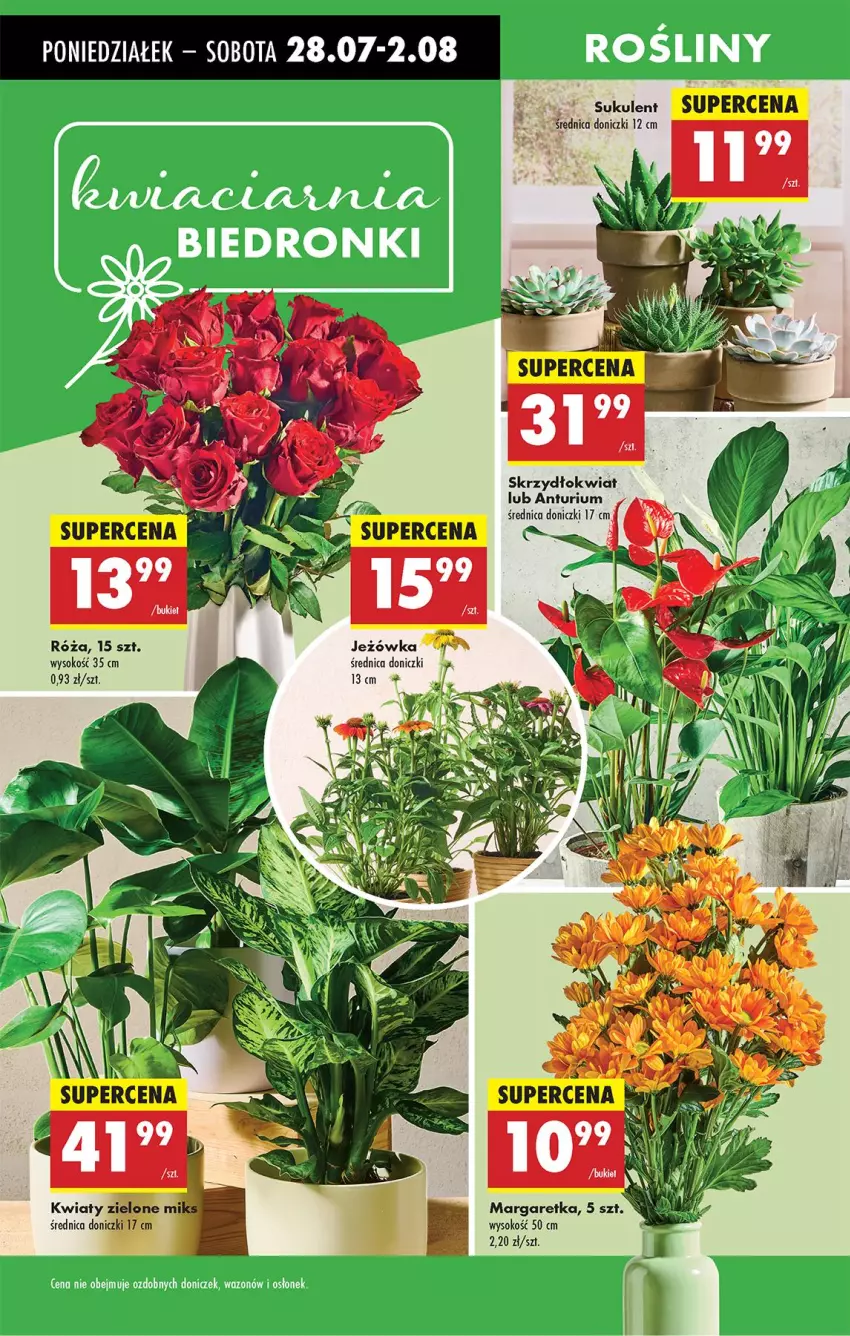 Gazetka promocyjna Biedronka - Od Poniedziałku - ważna 28.07 do 02.08.2025 - strona 26 - produkty: Fa, Sok, Sukulent