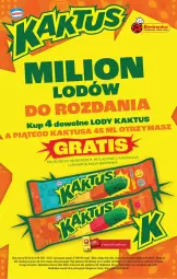 Gazetka promocyjna Biedronka - Od Poniedziałku - Gazetka - ważna od 02.08 do 02.08.2025 - strona 51 - produkty: Gra, Kaktus, Lody