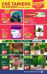 Gazetka promocyjna Aldi - Pełna oferta - Gazetka - ważna od 28.10 do 28.10.2023 - strona 23 - produkty: Sok, Pasta do zębów, Odplamiacz, Colgate, LG