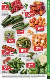 Gazetka promocyjna Stokrotka - Supermarket - Gazetka - ważna od 12.06 do 12.06.2024 - strona 7 - produkty: Cebula, Warzywa, Por, Sałat, Owoce, Grunt, Grill, Pomidory, Rzodkiewka, Mięso, Nektar