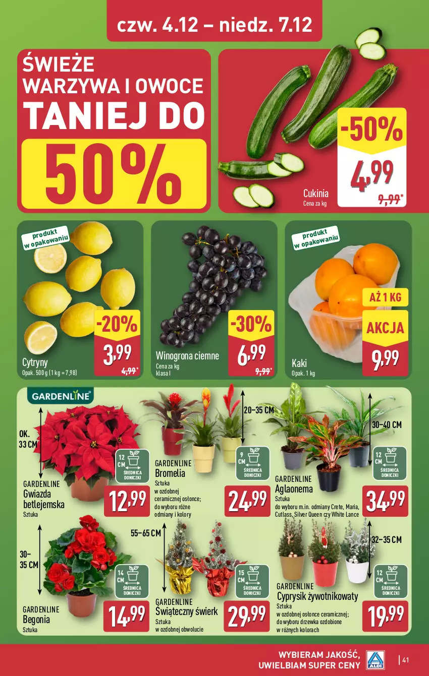 Gazetka promocyjna Aldi - Pełna oferta - ważna 01.12 do 07.12.2025 - strona 41 - produkty: Bromelia, Cyprysik, Cytryny, Gwiazda, Kaki, Owoce, Warzywa, Warzywa i owoce, Wino, Winogrona
