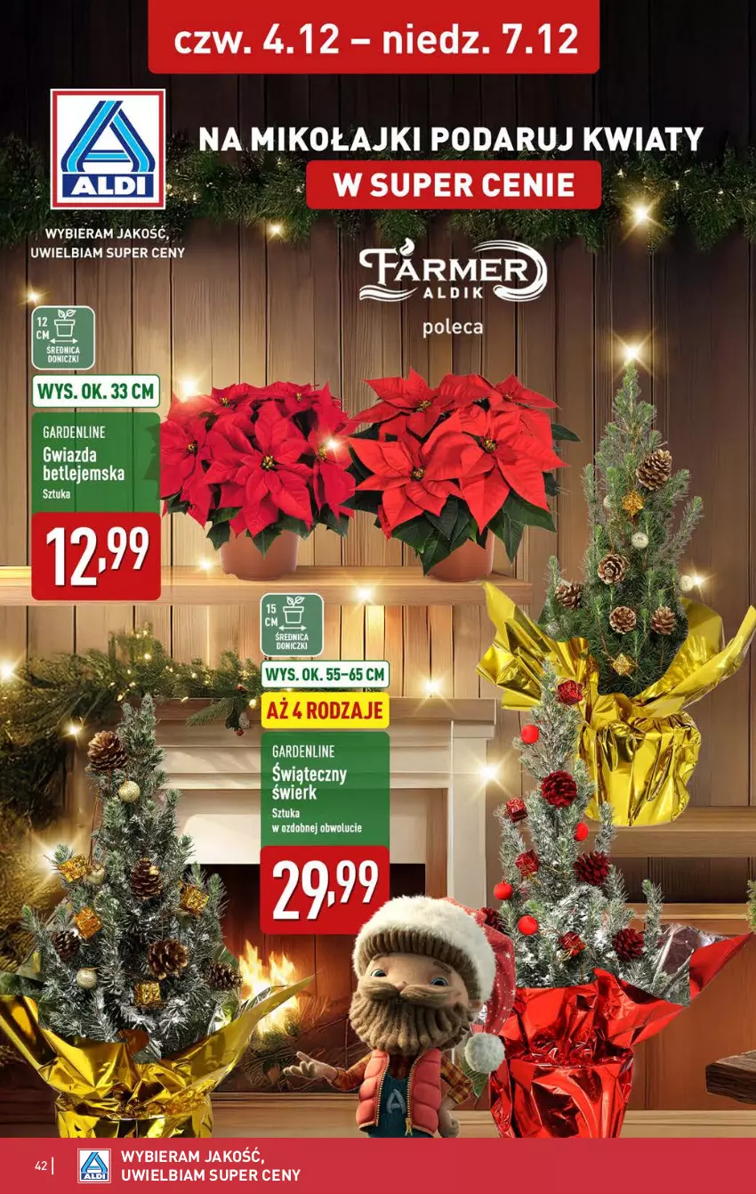 Gazetka promocyjna Aldi - Pełna oferta - ważna 01.12 do 07.12.2025 - strona 42