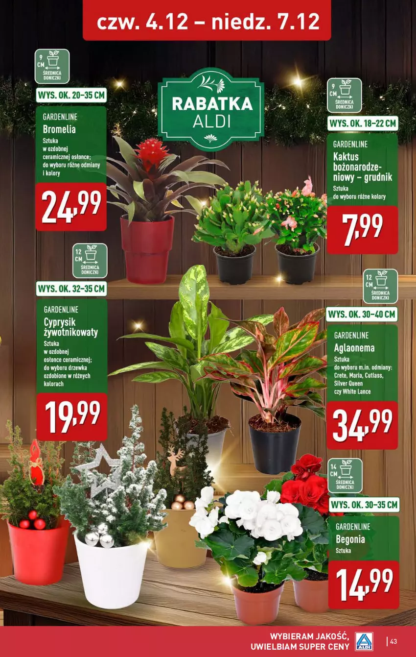 Gazetka promocyjna Aldi - Pełna oferta - ważna 01.12 do 07.12.2025 - strona 43