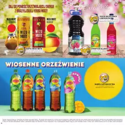 Gazetka promocyjna Stokrotka - Katalog Grill - Gazetka - ważna od 22.05 do 22.05.2024 - strona 10 - produkty: Warzywa, Lemoniada, Ice tea, Lipton, Syrop, Owoce, Mango, Napój, Mięso