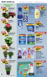 Gazetka promocyjna Netto - Gazetka spożywcza - Gazetka - ważna od 24.07 do 24.07.2021 - strona 12 - produkty: Sól, Do mycia naczyń, Gerber, Pampers, Finish, Chryzantema, Tablet, Majtki, Cillit Bang, Płyn do mycia naczyń, Fairy, Płyn do mycia, Pieluchomajtki, Zmywarki, Tabletki do zmywarki, Dezynfekcja, Fa
