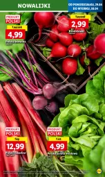 Gazetka promocyjna Lidl - GAZETKA - Gazetka - ważna od 30.04 do 30.04.2024 - strona 21 - produkty: Sałata masłowa, Sałat, Masło